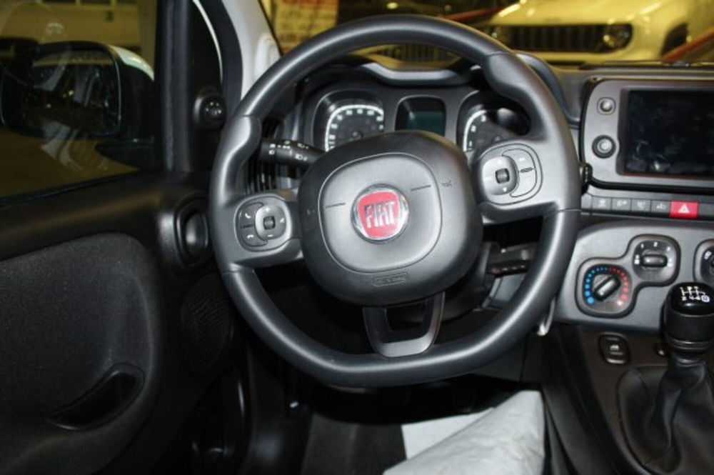 Fiat Panda Cross usata a Terni (12)