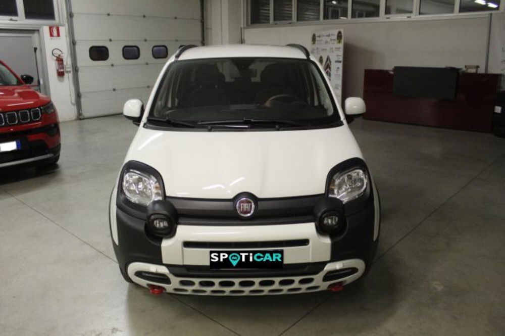 Fiat Panda Cross usata a Terni (2)