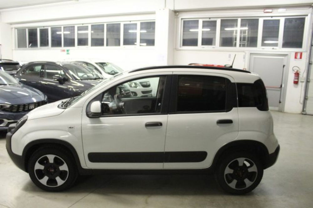 Fiat Panda Cross usata a Terni (3)