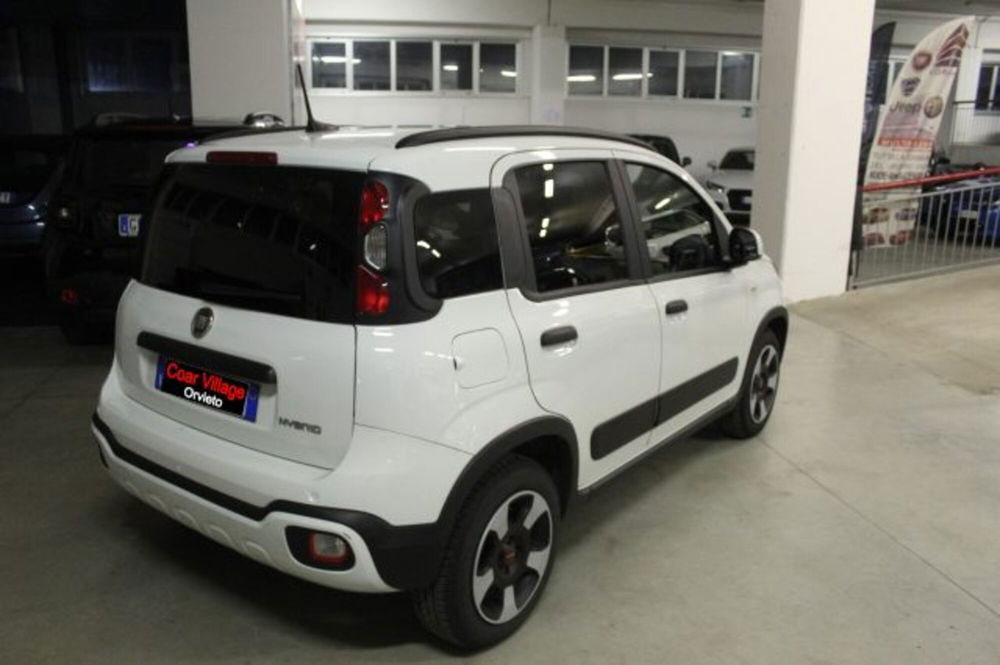 Fiat Panda Cross usata a Terni (4)