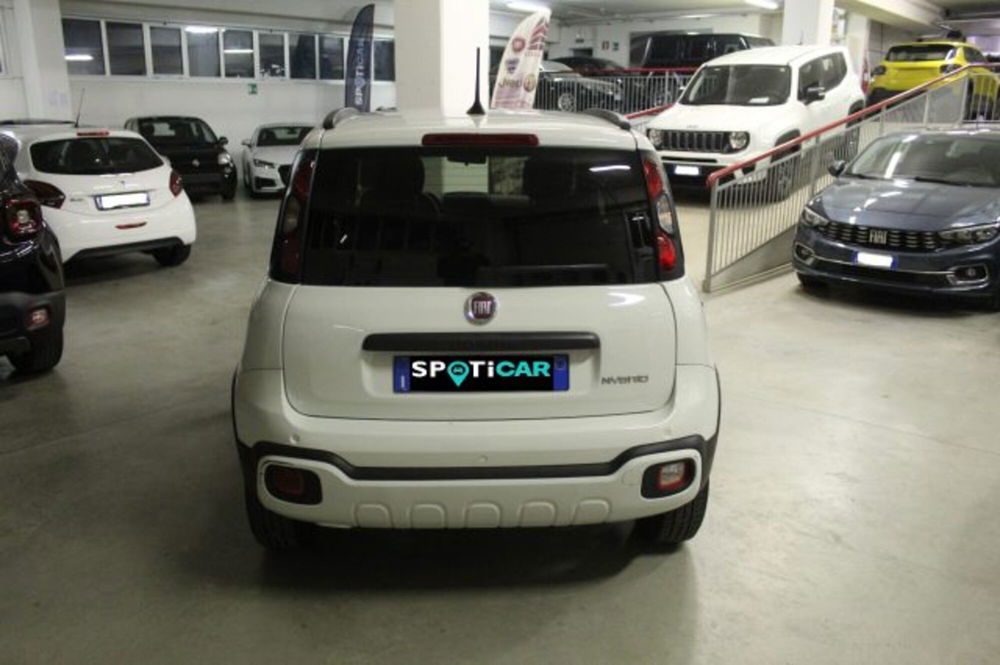 Fiat Panda Cross usata a Terni (5)