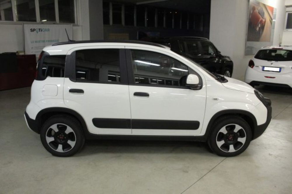 Fiat Panda Cross usata a Terni (6)