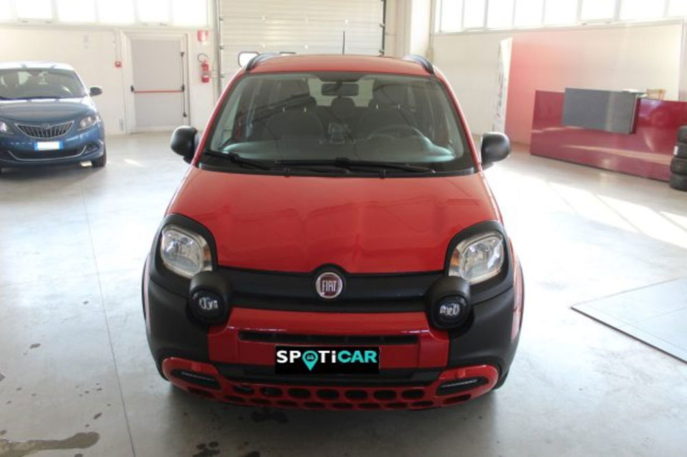 Fiat Panda usata a Terni (2)