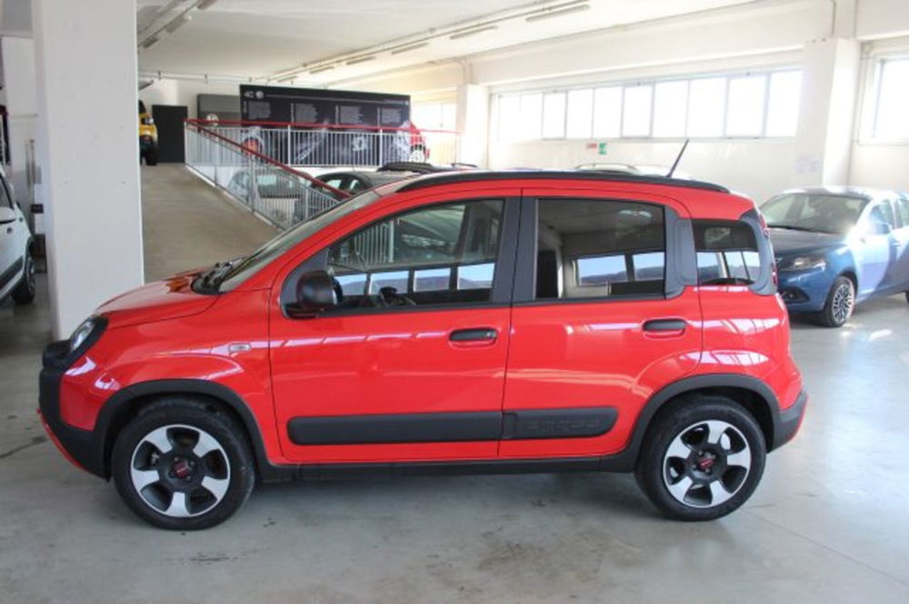 Fiat Panda usata a Terni (3)