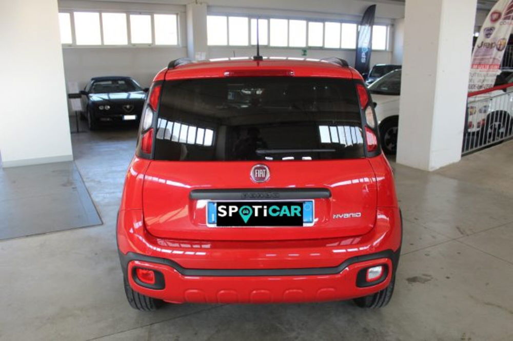 Fiat Panda usata a Terni (5)