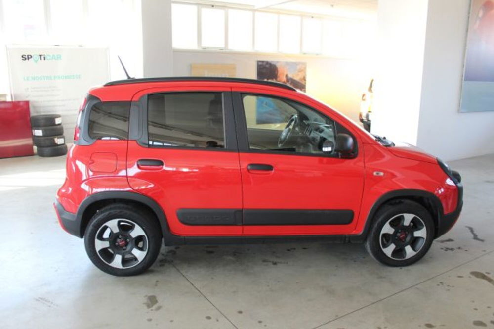 Fiat Panda usata a Terni (6)