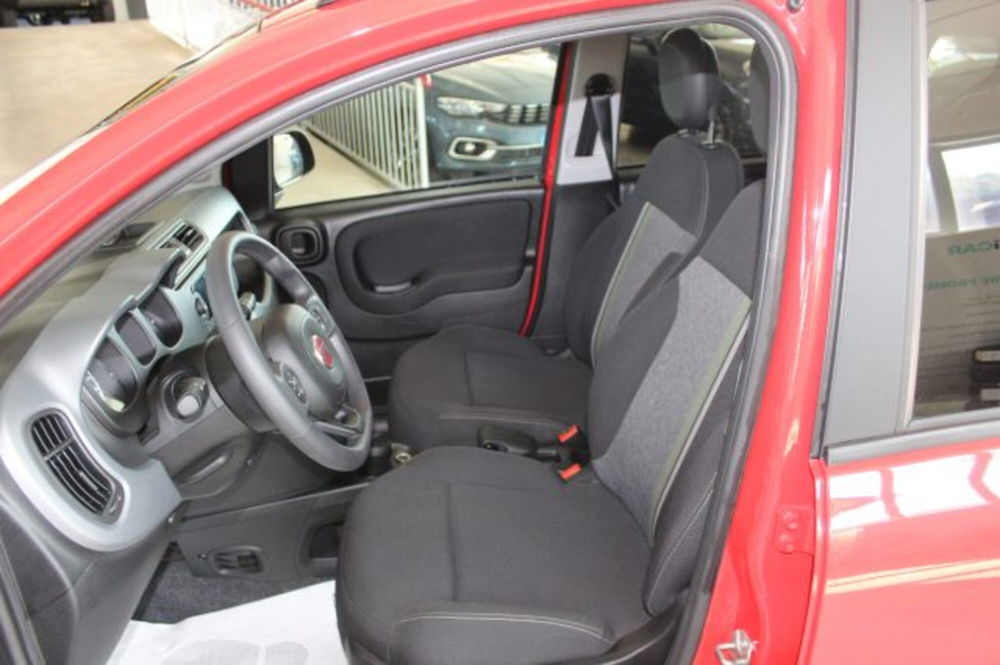 Fiat Panda usata a Terni (7)