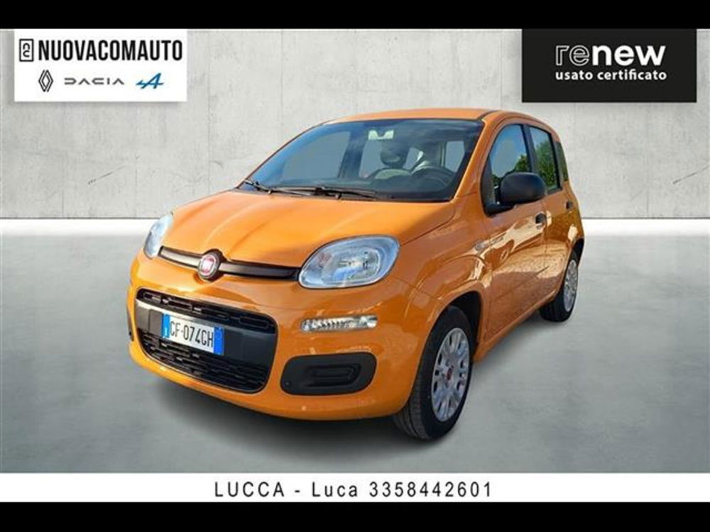 Fiat Panda usata a Firenze