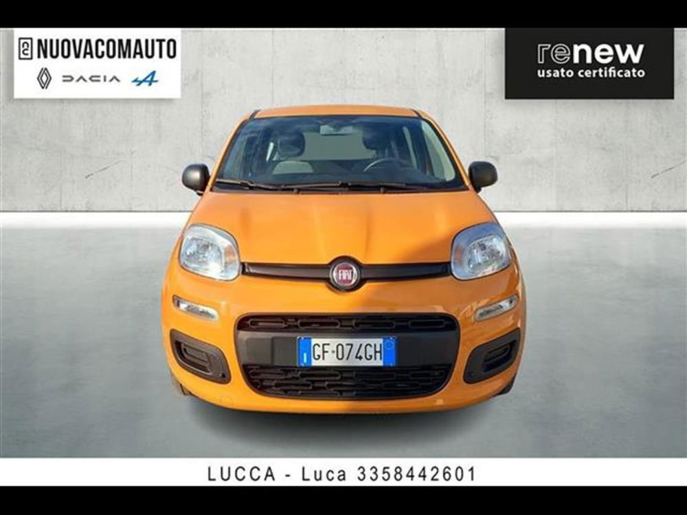 Fiat Panda usata a Firenze (2)