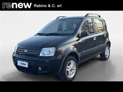 Fiat Panda 1.2 4x4 Climbing  del 2005 usata a Pinerolo