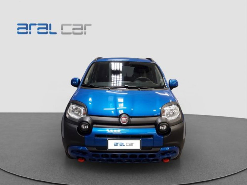 Fiat Panda Cross usata a Torino (2)