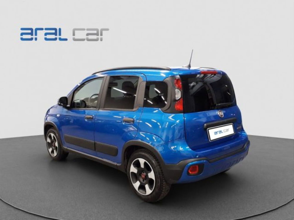 Fiat Panda Cross usata a Torino (4)