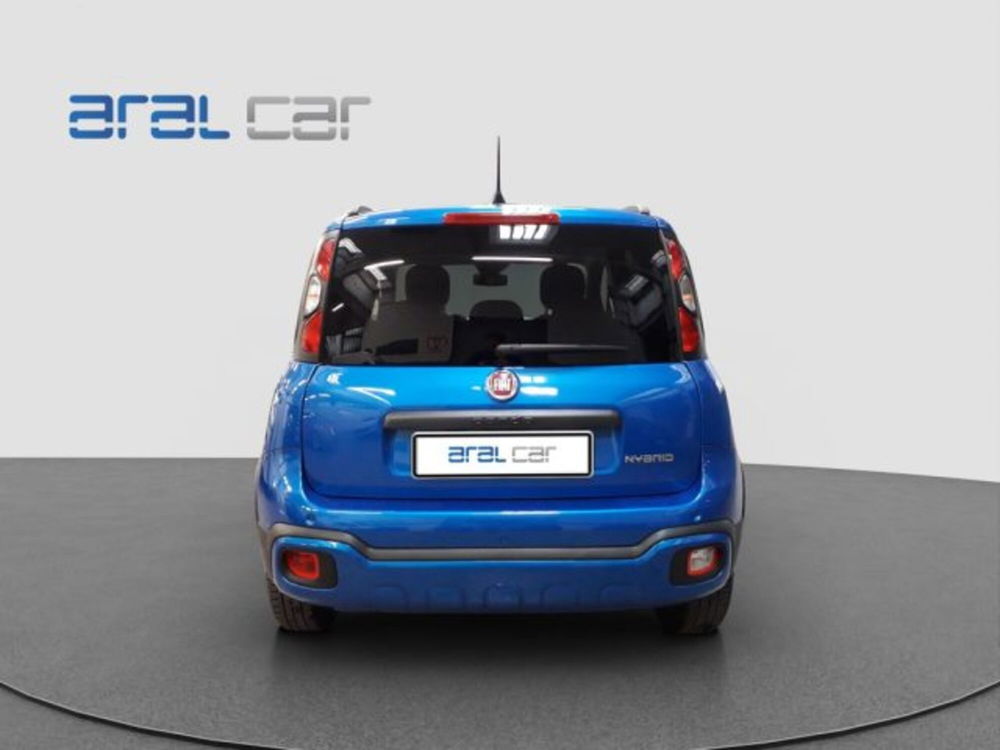 Fiat Panda Cross usata a Torino (5)