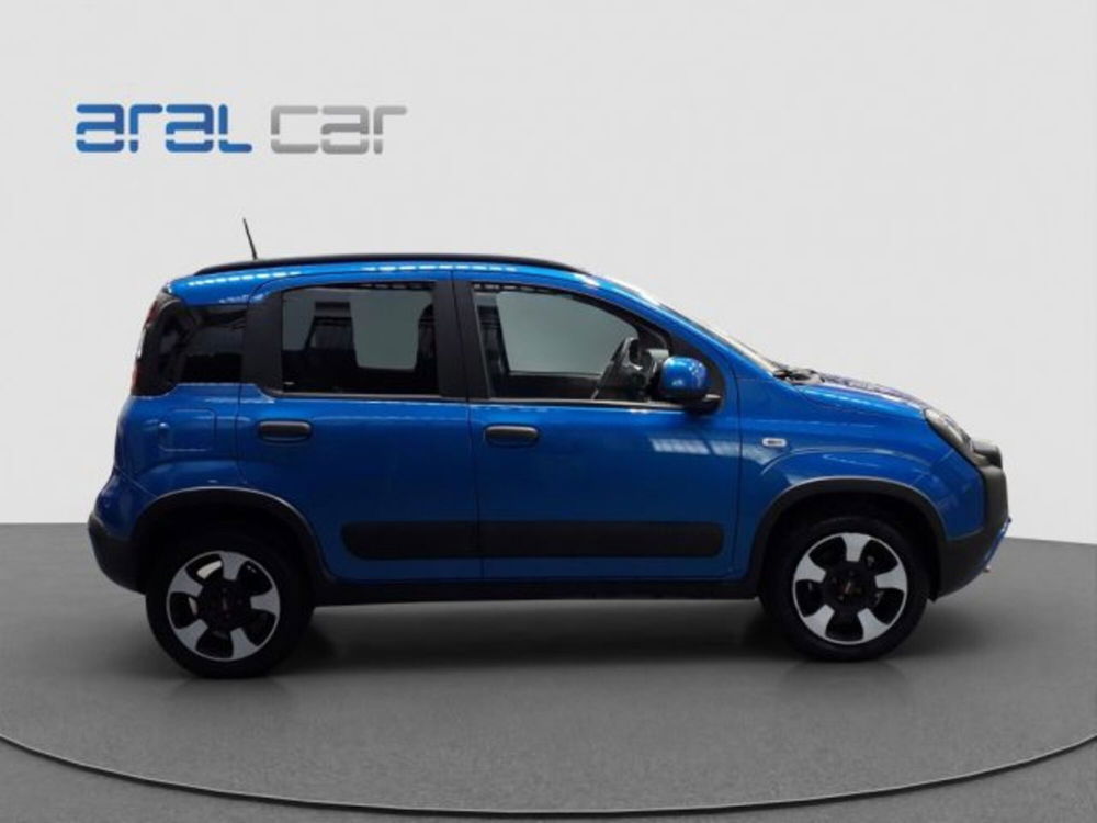 Fiat Panda Cross usata a Torino (7)