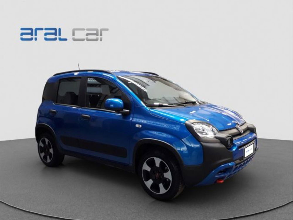 Fiat Panda Cross usata a Torino (8)