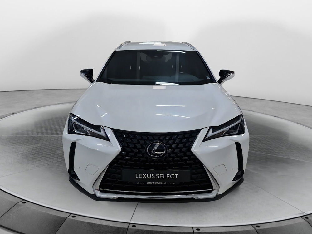 Lexus UX usata a Bologna (2)