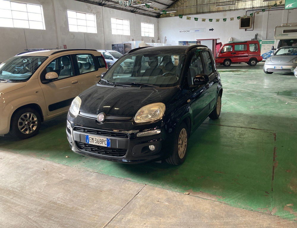 Fiat Panda usata a Lucca (2)