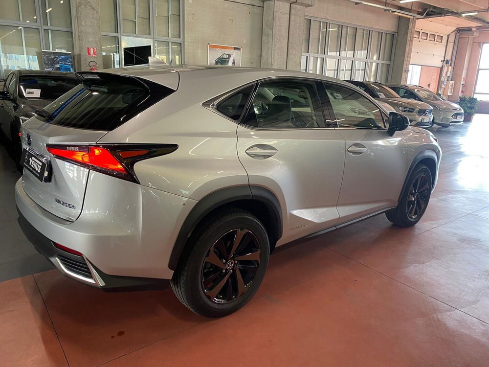 Lexus NX usata a Milano (6)