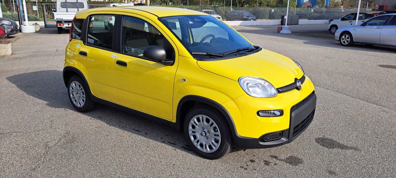 Fiat Panda 1.0 FireFly S&amp;S Hybrid  nuova a Tradate