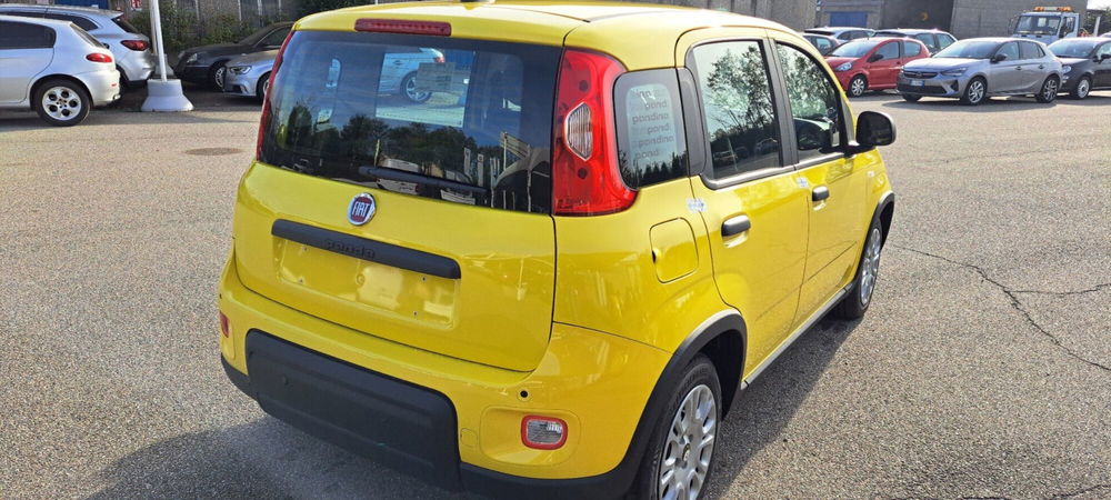 Fiat Panda nuova a Varese (12)