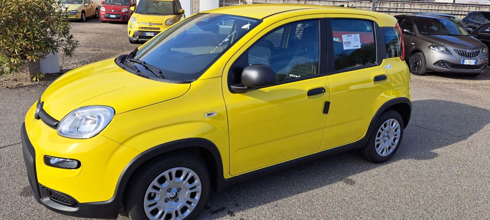 Fiat Panda nuova a Varese (7)