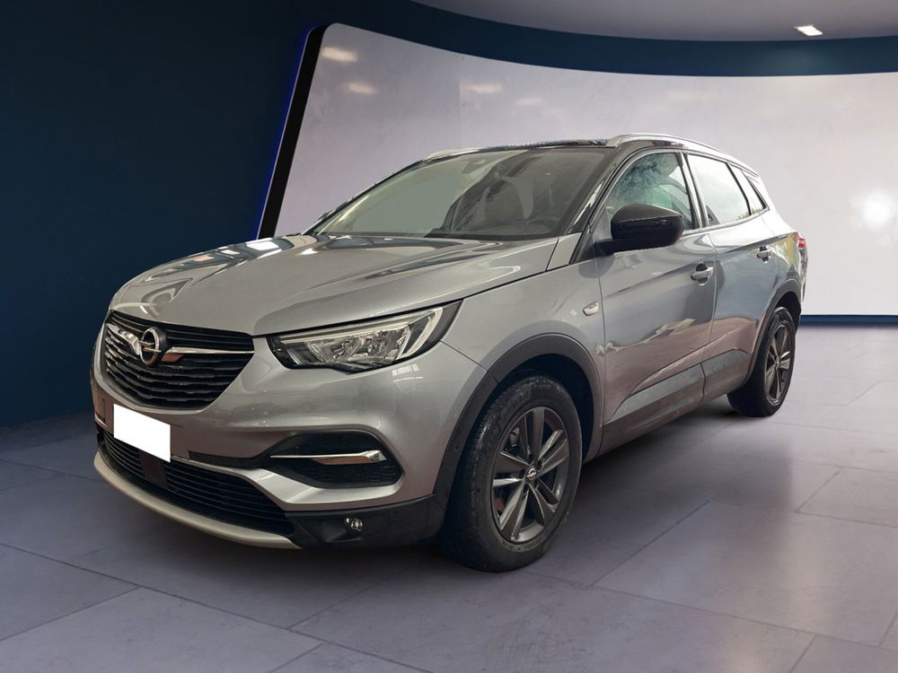 Opel Grandland X usata a Torino (2)