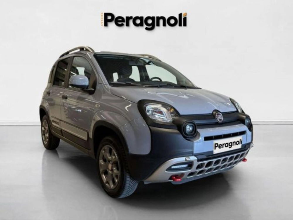 Fiat Panda Cross usata a Firenze (3)