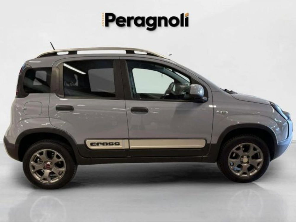 Fiat Panda Cross usata a Firenze (4)