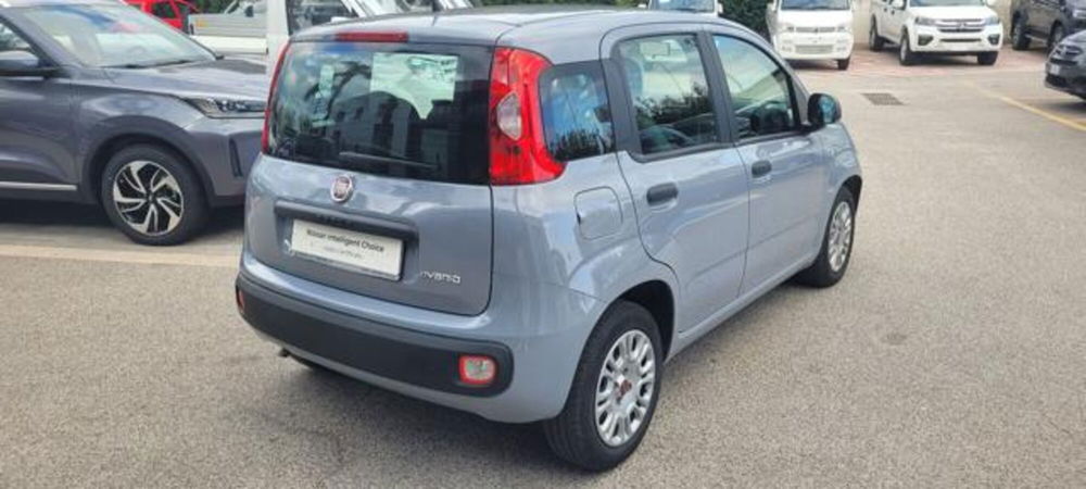 Fiat Panda usata a Napoli (4)