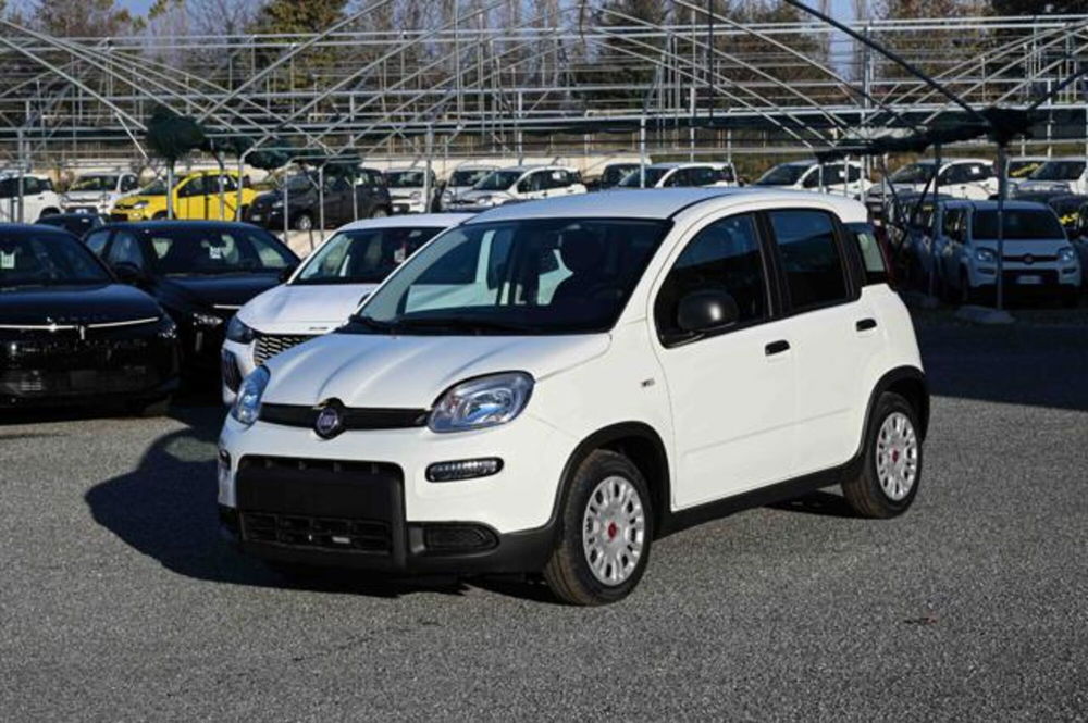 Fiat Panda nuova a Torino