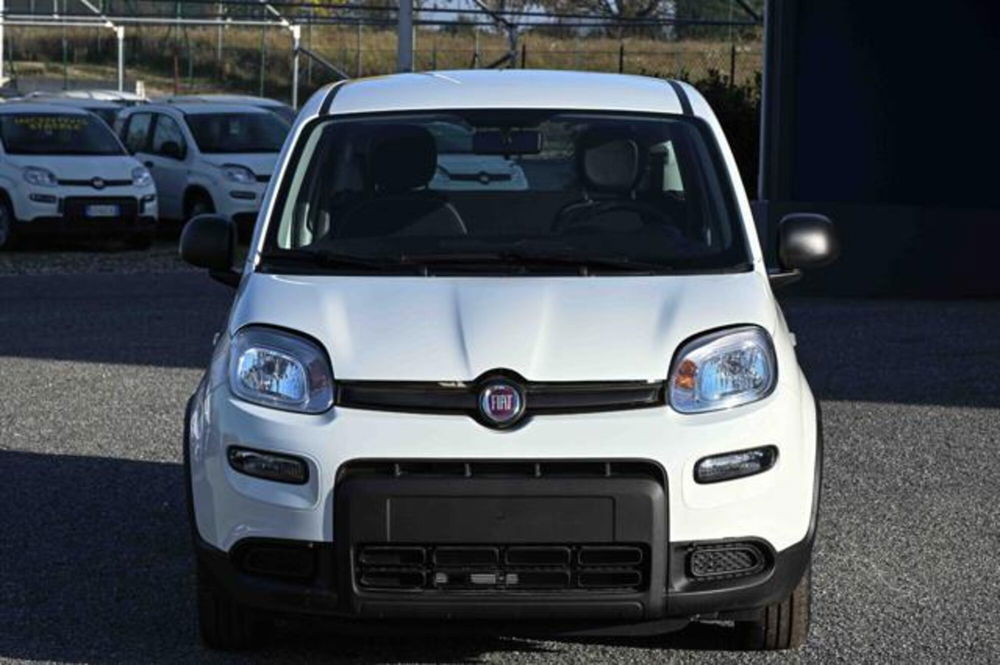 Fiat Panda nuova a Torino (2)