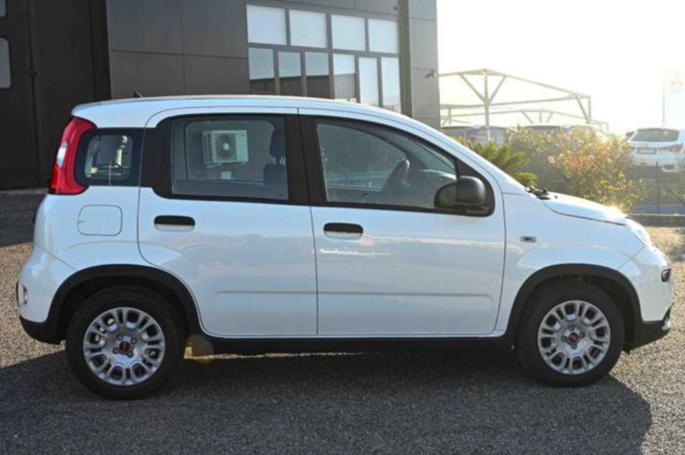 Fiat Panda nuova a Torino (4)