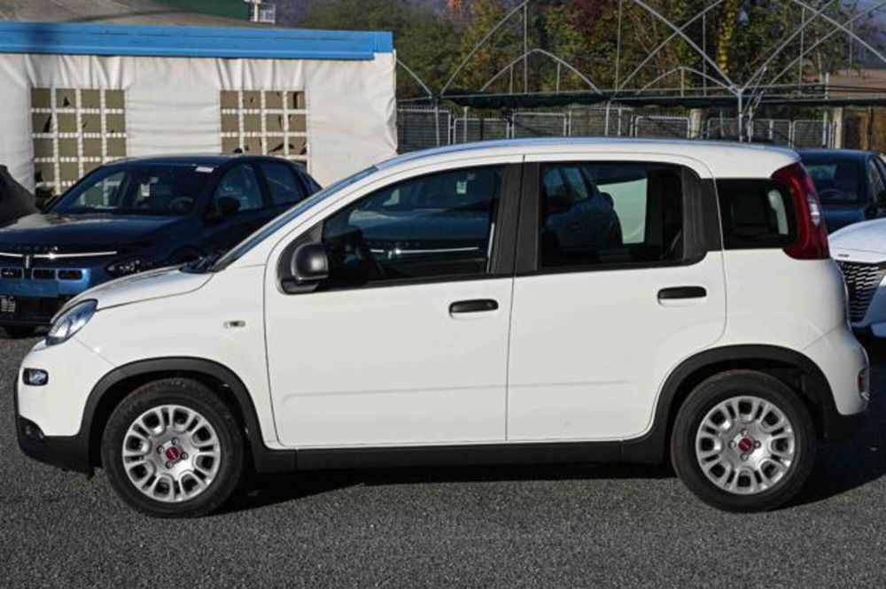 Fiat Panda nuova a Torino (8)