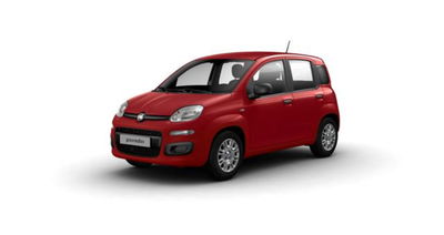 Fiat Panda 1.0 firefly hybrid s&amp;s 70cv 5p.ti nuova a Pianezza