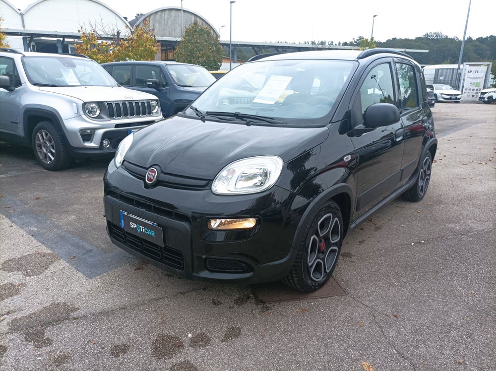 Fiat Panda usata a Frosinone