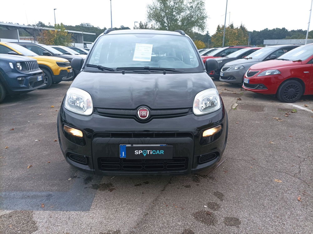 Fiat Panda usata a Frosinone (11)