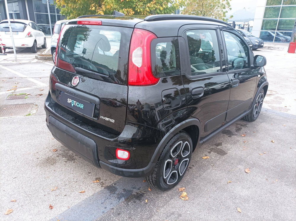 Fiat Panda usata a Frosinone (12)