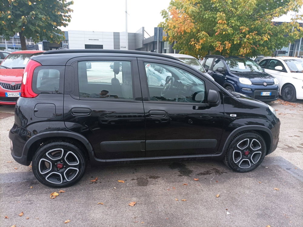 Fiat Panda usata a Frosinone (18)