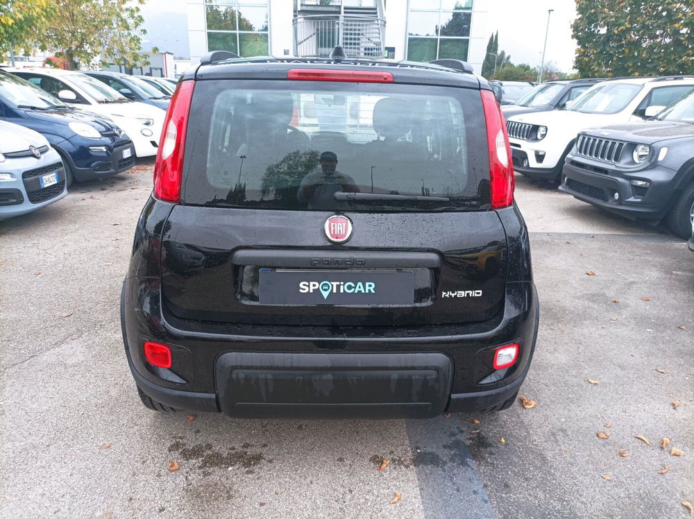 Fiat Panda usata a Frosinone (19)