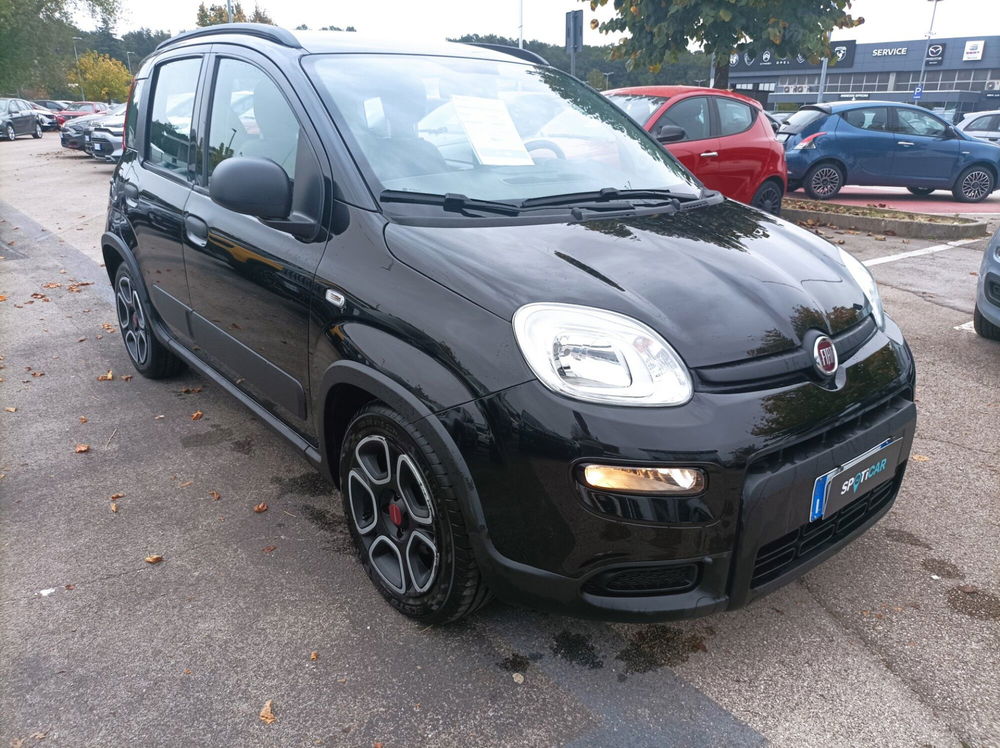 Fiat Panda usata a Frosinone (9)