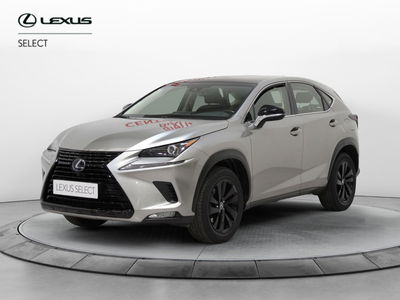 Lexus NX Hybrid 4WD Sport del 2019 usata a Sesto Fiorentino