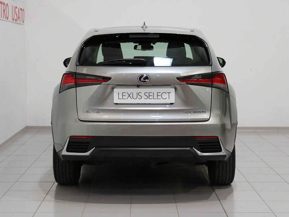 Lexus NX usata a Firenze (5)