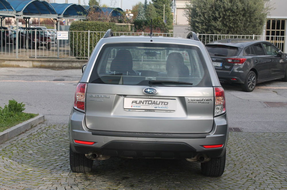 Subaru Forester usata a Cuneo (5)