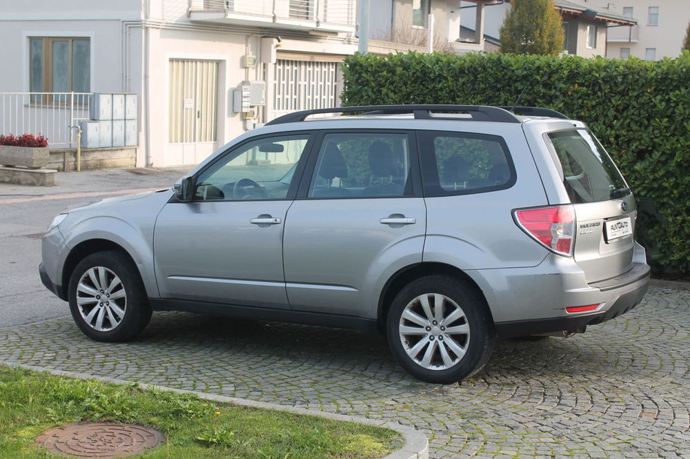 Subaru Forester usata a Cuneo (6)