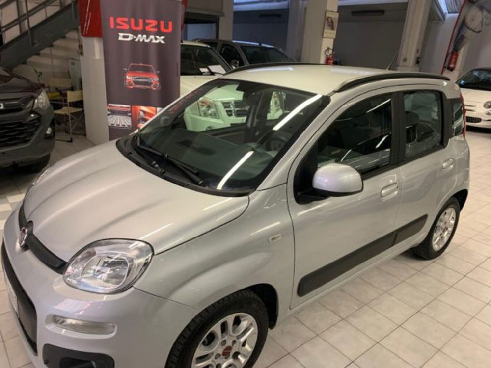 Fiat Panda usata a Siena (2)