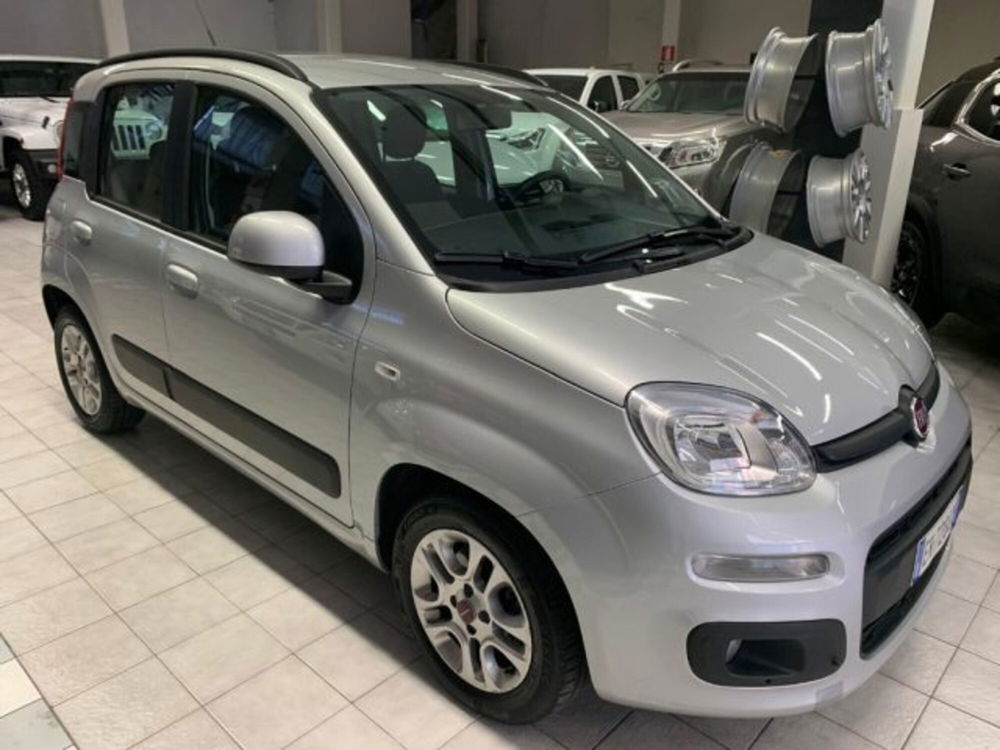 Fiat Panda usata a Siena (3)