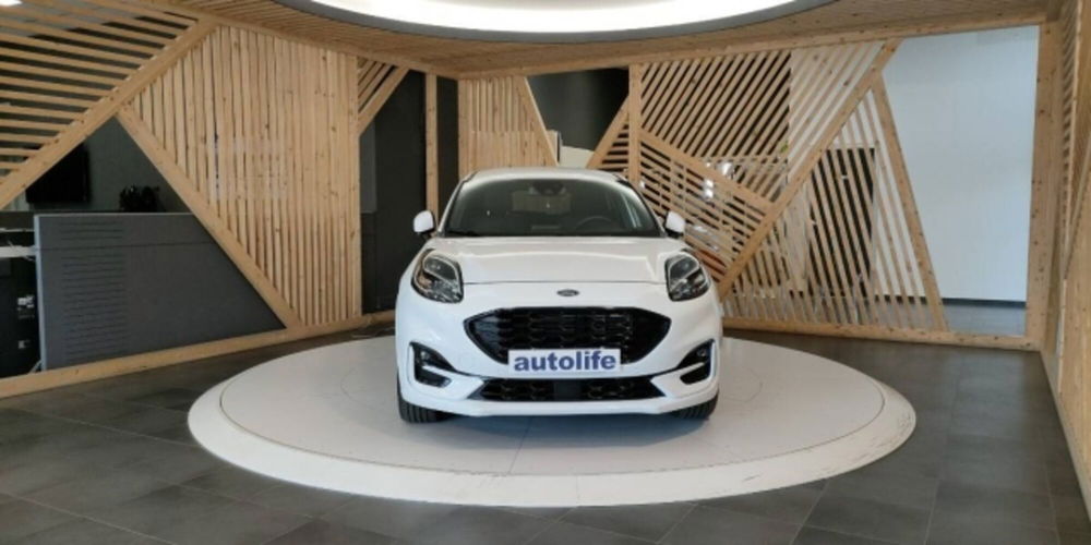 Ford Puma usata a Catanzaro (12)