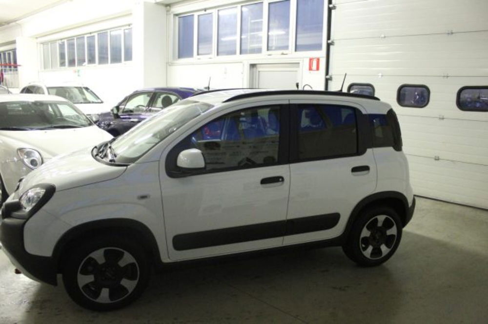 Fiat Panda Cross usata a Terni (3)