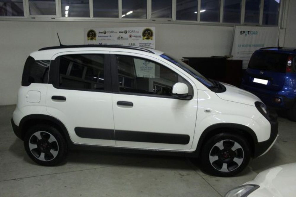 Fiat Panda Cross usata a Terni (6)