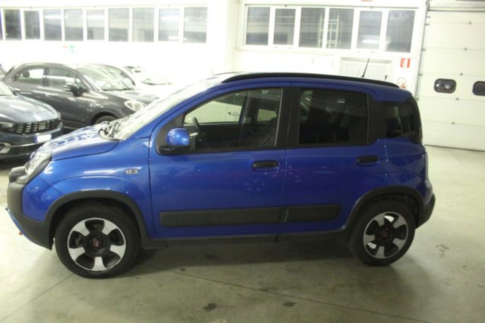 Fiat Panda Cross usata a Terni (3)